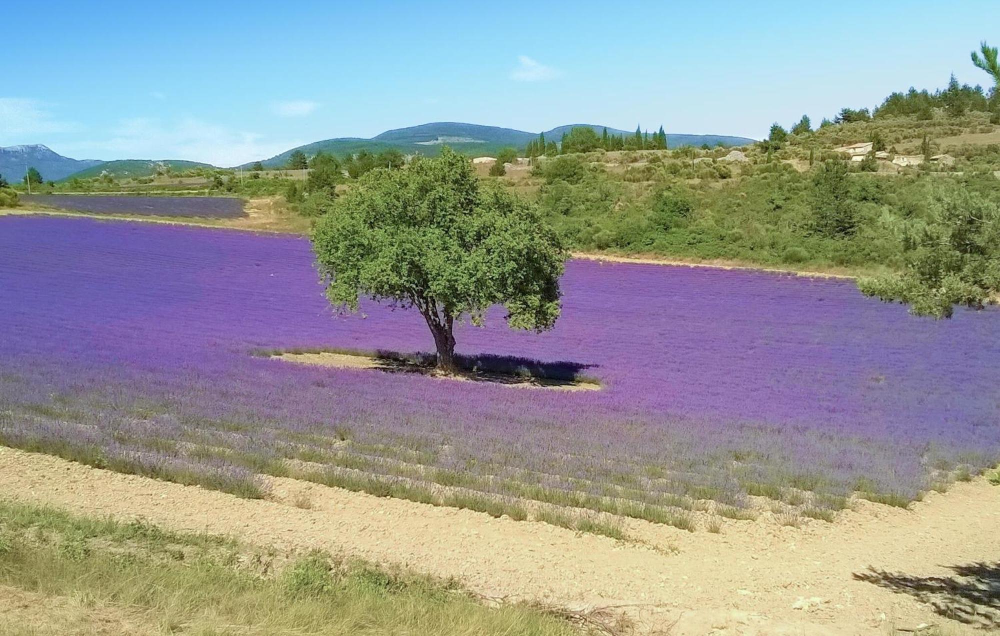 2 Bedroom Gorgeous Home In Villes-Sur-Auzon エクステリア 写真